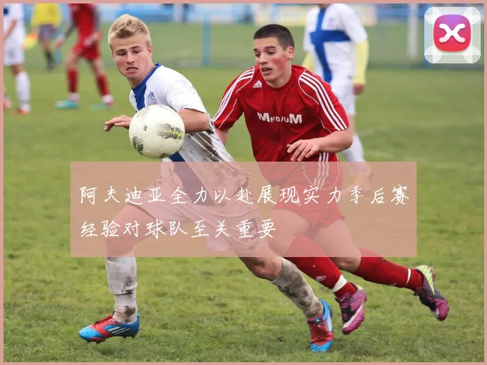 阿夫迪亚全力以赴展现实力季后赛经验对球队至关重要