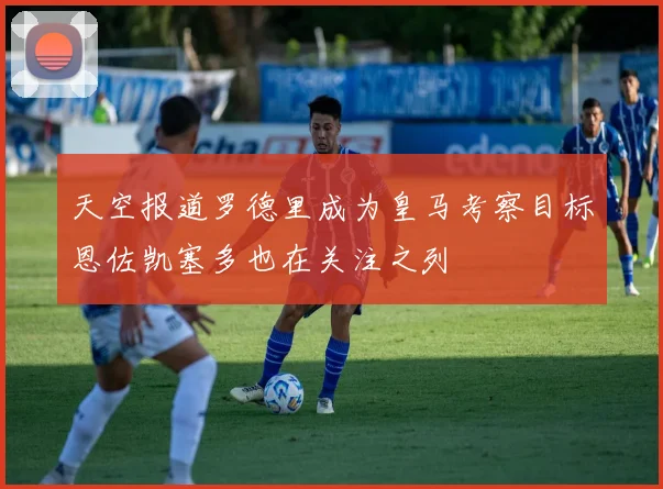 天空报道罗德里成为皇马考察目标恩佐凯塞多也在关注之列