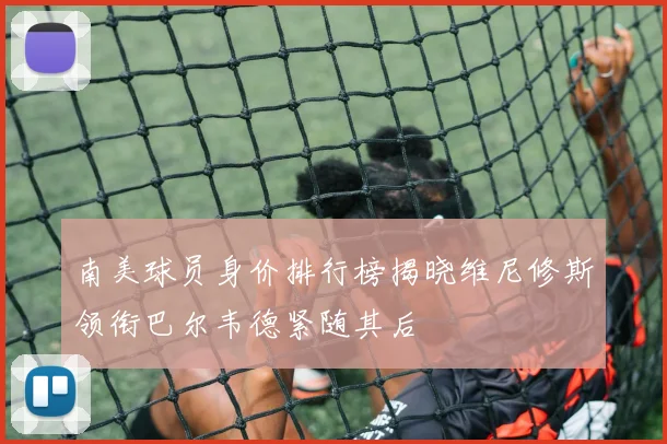 南美球员身价排行榜揭晓维尼修斯领衔巴尔韦德紧随其后